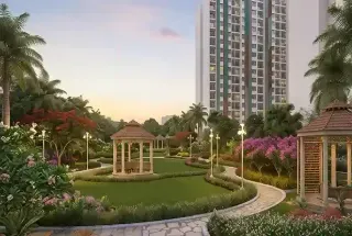 Party Lawn